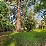 Modern Park Appartement